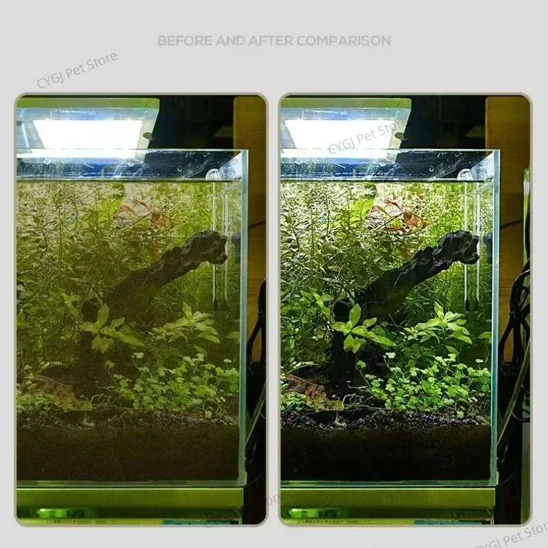Fish Tank Cleaning Tool Flat S - Aquarium Fish Waste Collector ulasan dan harga