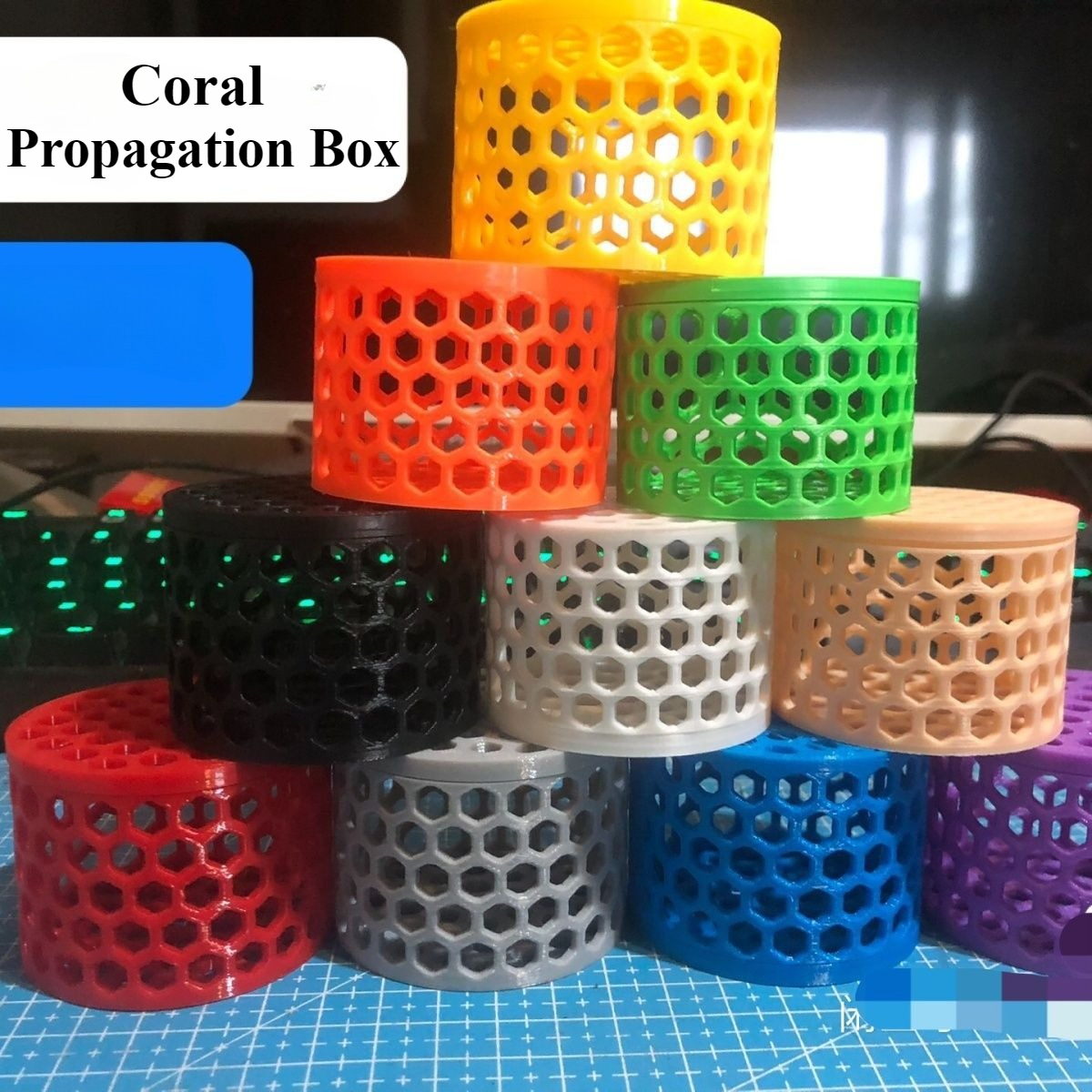 Fluorescent SPS LPS Coral Moun - Aquarium Fish Reproduction ulasan dan harga