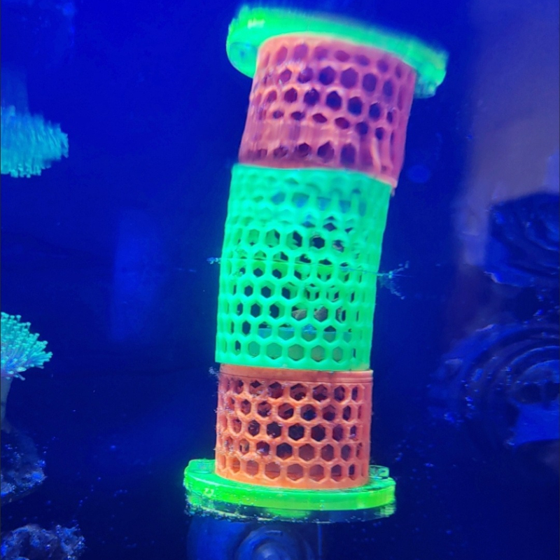 Fluorescent SPS LPS Coral Moun - Aquarium Fish Reproduction ulasan dan harga