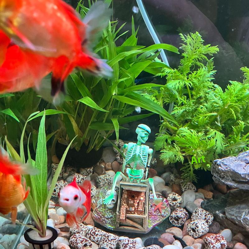 Fish Tank Aerobic Landscape Bu - Aquarium Fish Cichlid ulasan dan harga