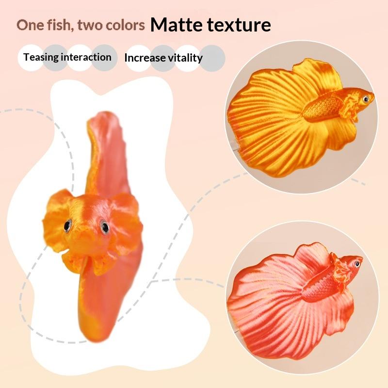 【CC】Colorful Aquarium Betta Tr - Aquarium Fish Colorful ulasan dan harga