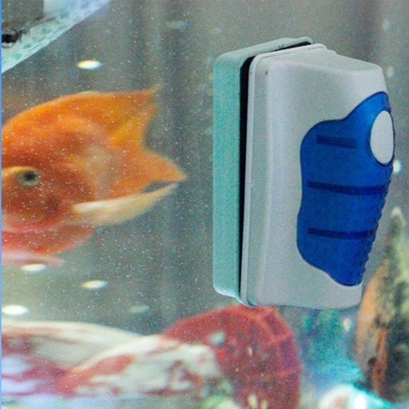 Fish Tank Glass Scraper Cleane - Aquarium Fish Diseases ulasan dan harga