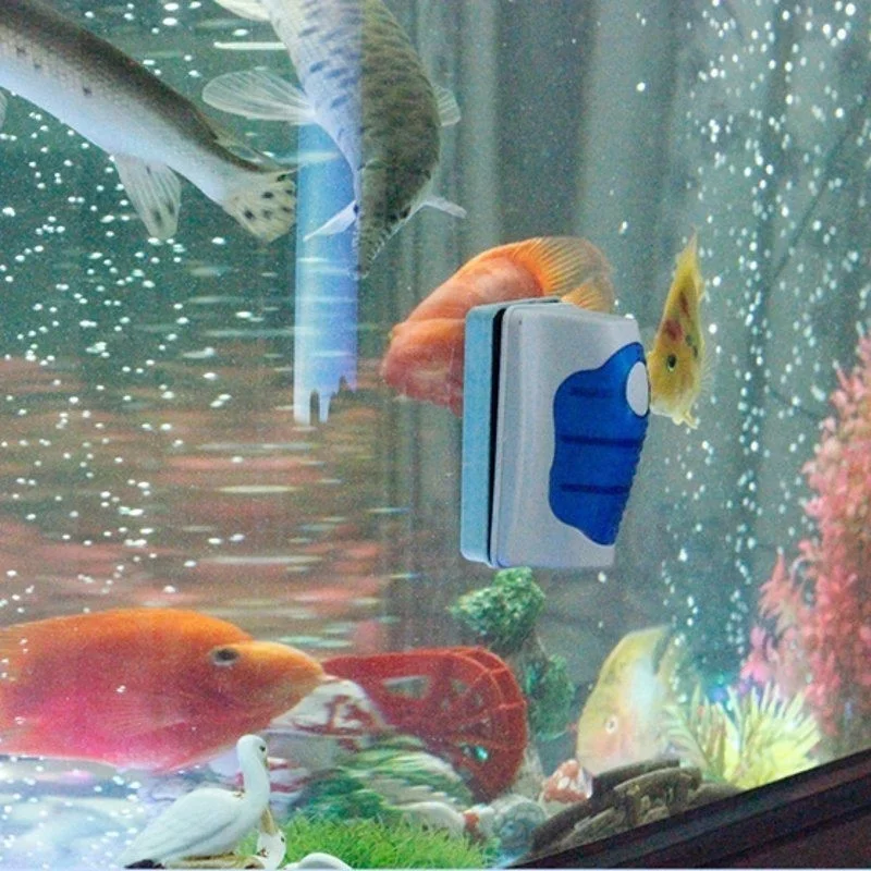 Fish Tank Glass Scraper Cleane - Aquarium Fish Diseases ulasan dan harga