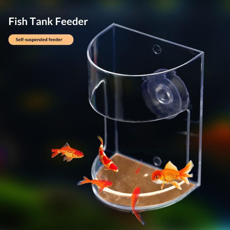 Popular 1/3/5Pcs Floating Food - Aquarium Fish Popular ulasan dan harga