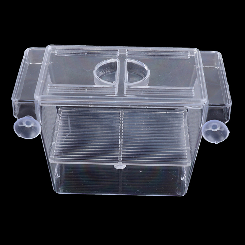 Aquarium Fish Tank Guppy Doubl - Aquarium Fish Eggs ulasan dan harga