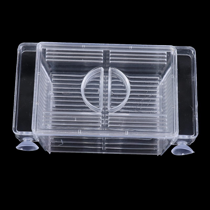 Aquarium Fish Tank Guppy Doubl - Aquarium Fish Eggs ulasan dan harga