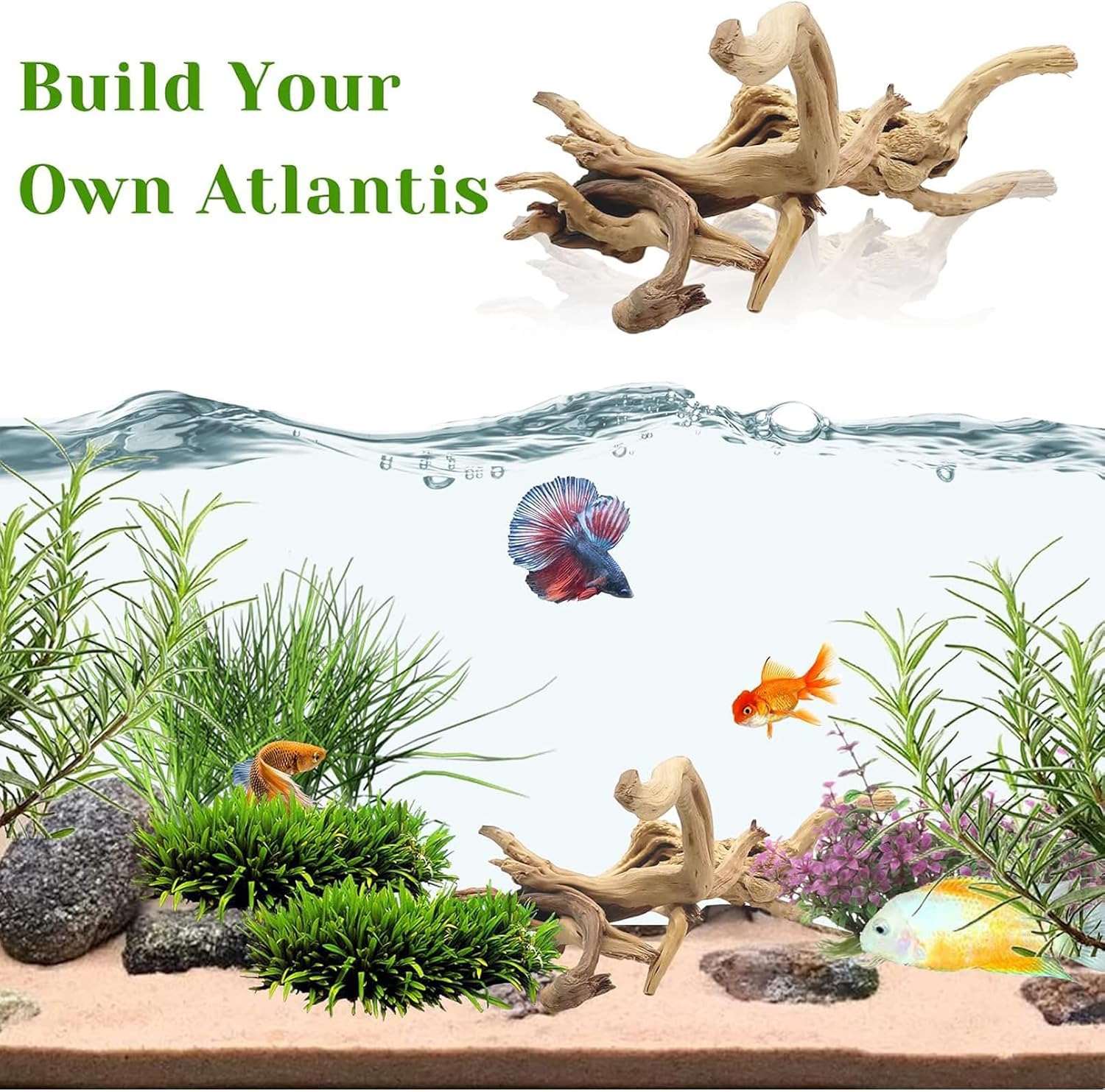 1PC  20-25CM Natural Driftwood - Aquarium Fish Diseases ulasan dan harga
