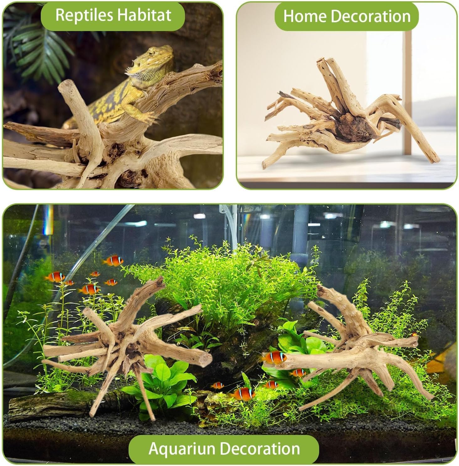 1PC  20-25CM Natural Driftwood - Aquarium Fish Diseases ulasan dan harga