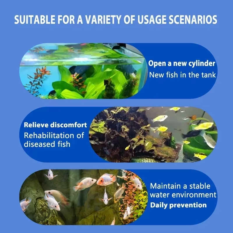 SIKEZHAN Fish Disease Treatmen - Aquarium Fish Diseases ulasan dan harga