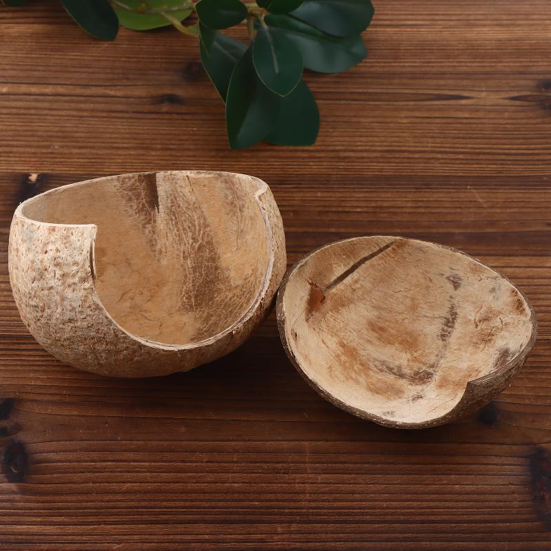 Coconut Hut Decor for Aquarium - Aquarium Fish Hide ulasan dan harga