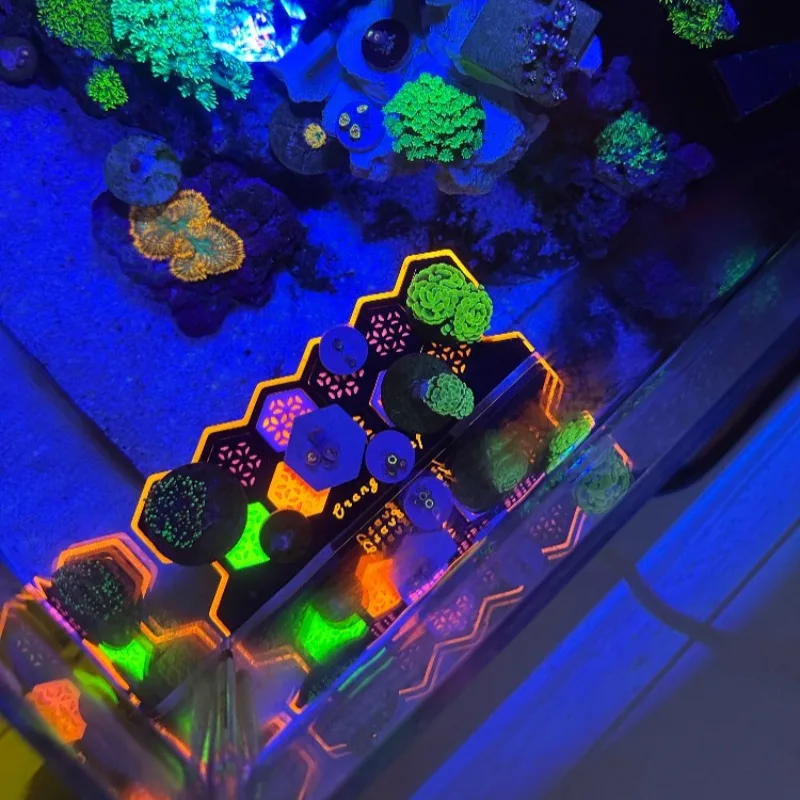 Fluorescent Coral Frag Plugs L - Aquarium Fish Reproduction ulasan dan harga