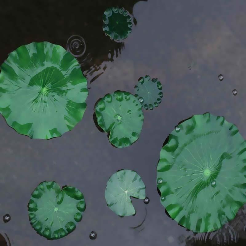 2026 Artificial Water Lily Lot - Aquarium Fish In Pond ulasan dan harga