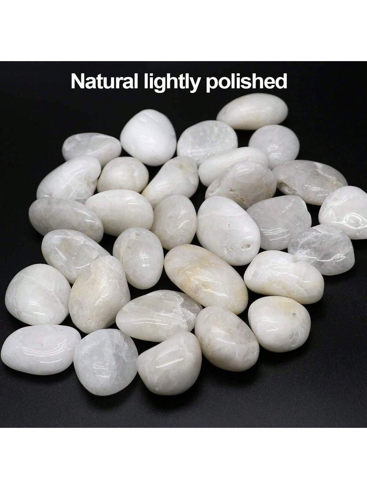 River Rocks Decorative Ornamen - Aquarium Fish Big ulasan dan harga