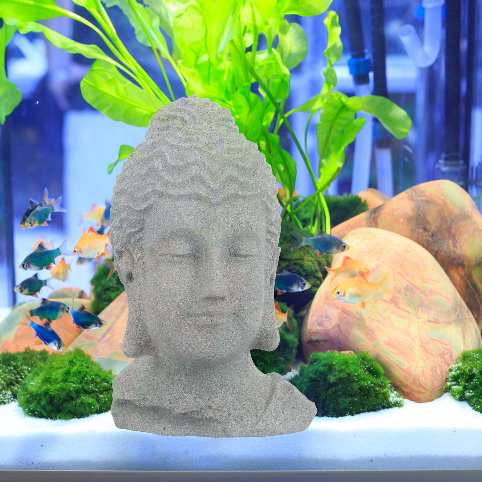 Meditating Buddha Head Statue  - Fish Aquarium Home ulasan dan harga