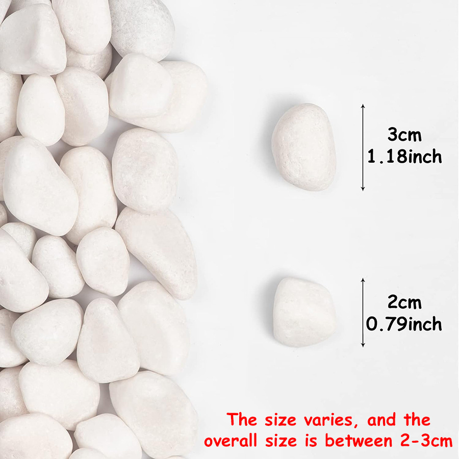 200/400g White High Polished N - Fish Aquarium Home ulasan dan harga