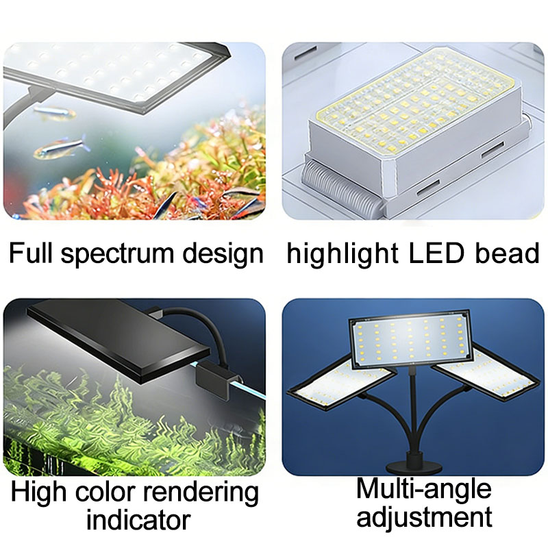 Aquarium Fish Tank Full Spectr - Aquarium Fish Colorful ulasan dan harga