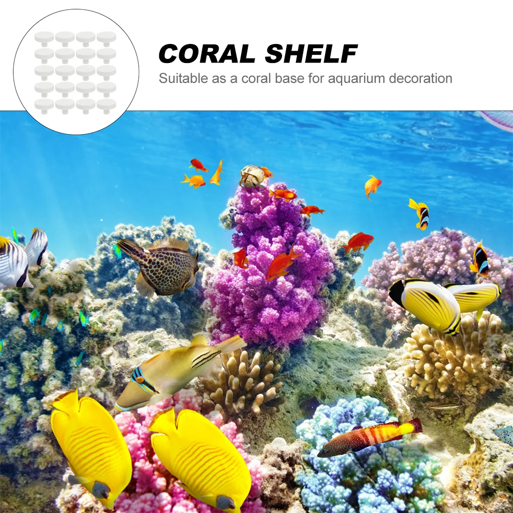 20Pcs Coral Glue Reef Safe Cor - Aquarium Fish Reproduction ulasan dan harga