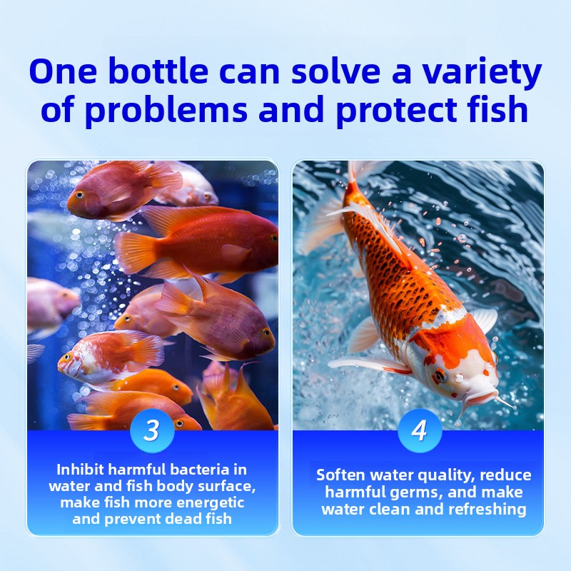 HUACHU Aquarium Salt for Fresh - Aquarium Fish Diseases ulasan dan harga
