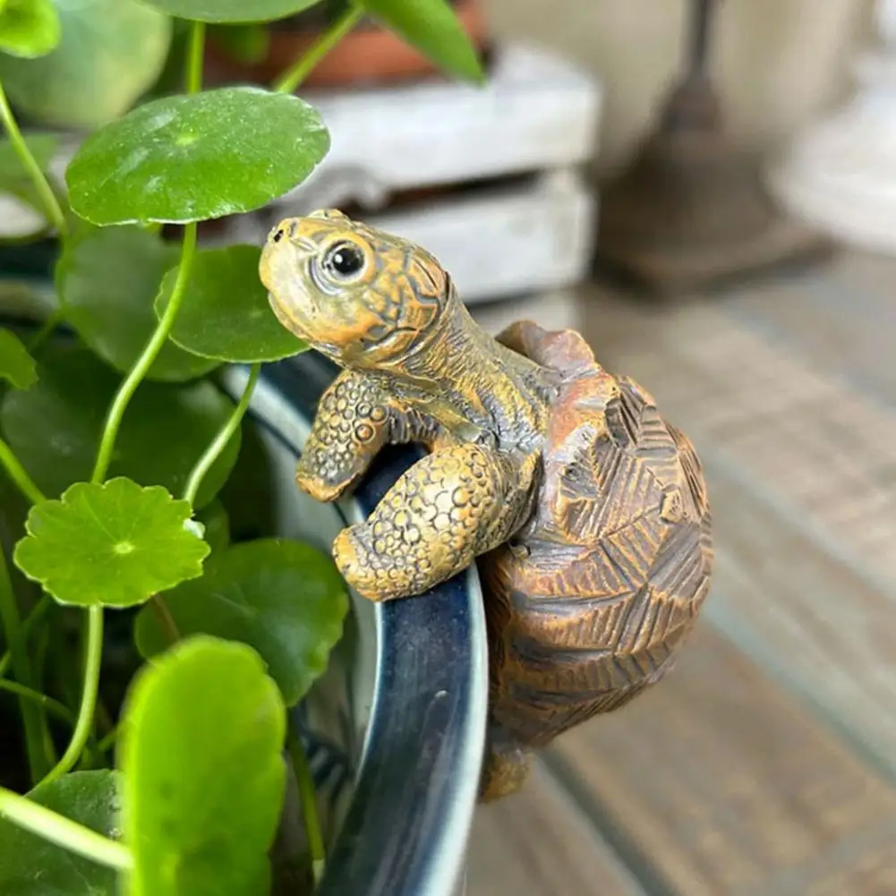 Fishing Turtle Hanging Turtle  - Aquarium Fish In Pond ulasan dan harga