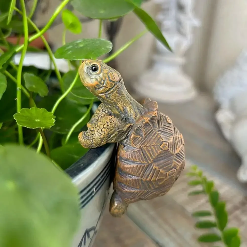Fishing Turtle Hanging Turtle  - Aquarium Fish In Pond ulasan dan harga