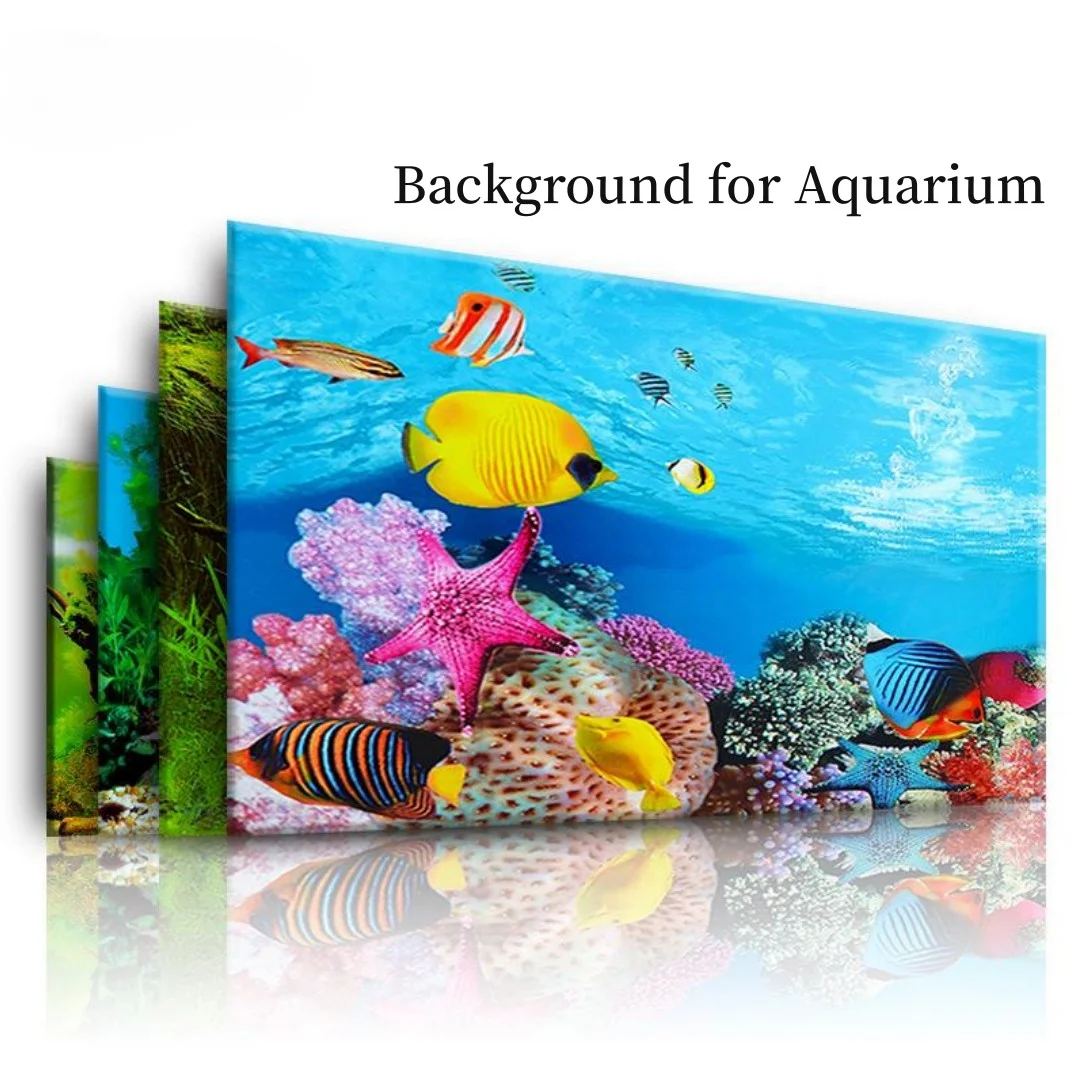 Background Aquarium 3D Sticker - Aquarium Fish Cichlid ulasan dan harga