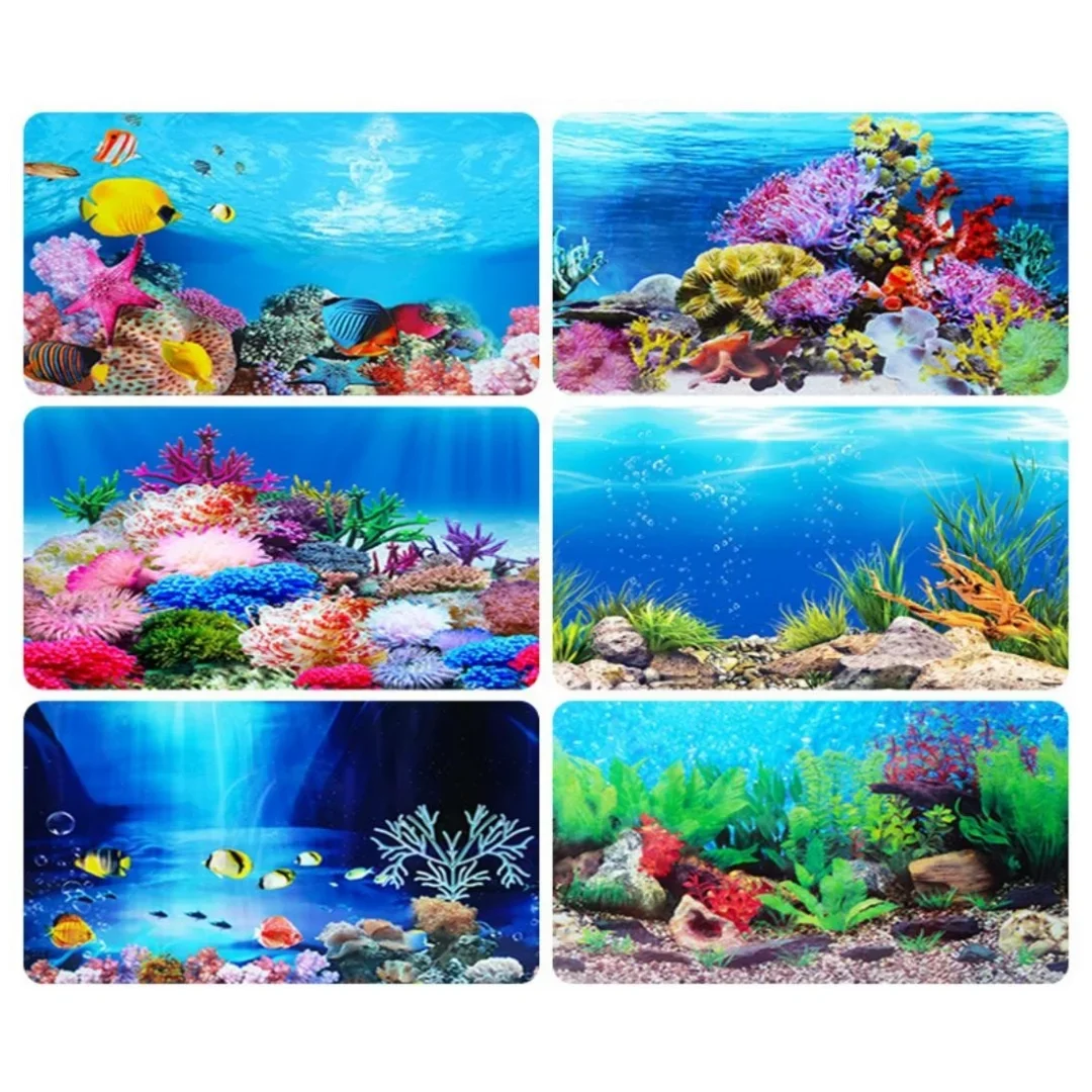 Background Aquarium 3D Sticker - Aquarium Fish Cichlid ulasan dan harga