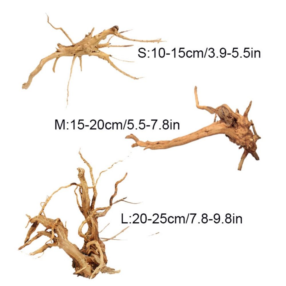 Natural Tree Trunk Aquarium De - Aquarium Fish Cichlid ulasan dan harga