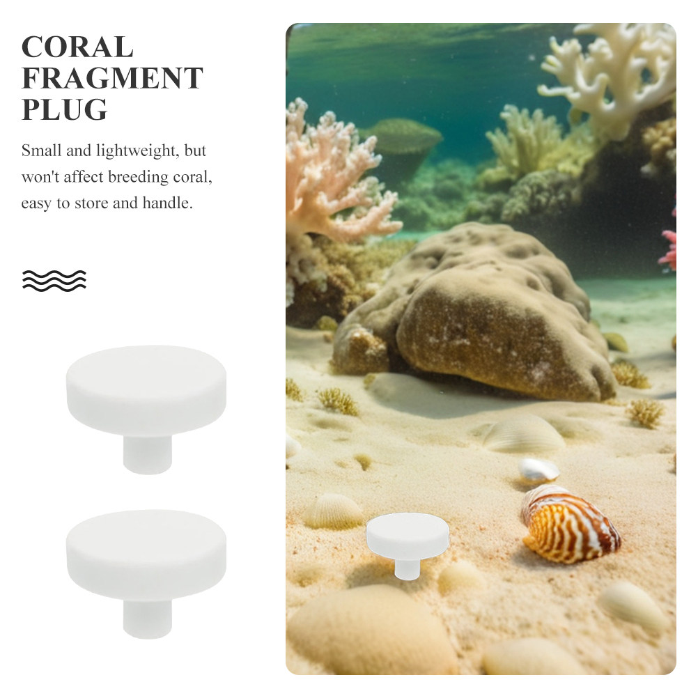 20 Pcs White Coral Reproductio - Aquarium Fish Reproduction ulasan dan harga
