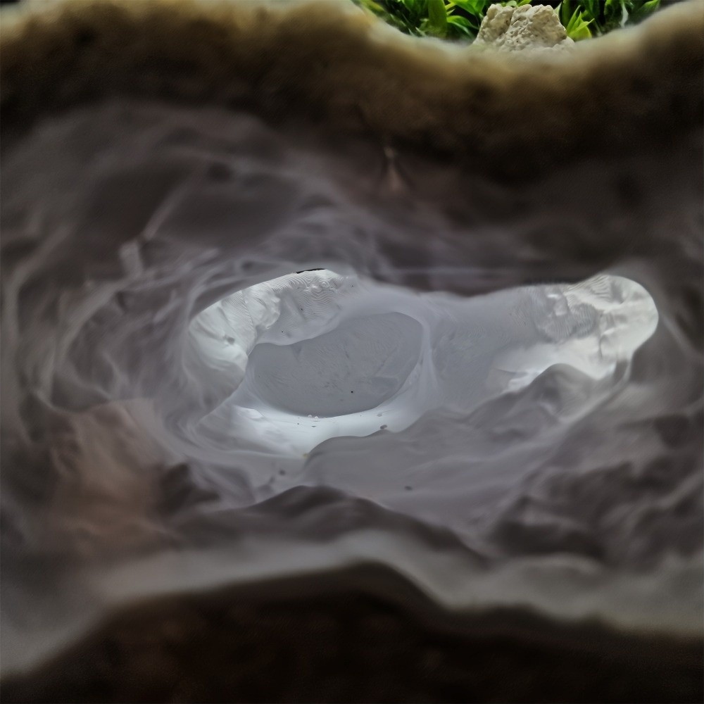 Highly Simulated Aquarium Fish - Aquarium Fish Reproduction ulasan dan harga