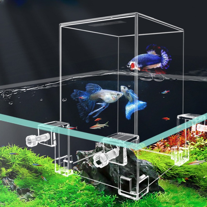 Creative Aquarium Tanks Negati - Aquarium Fish Pot ulasan dan harga