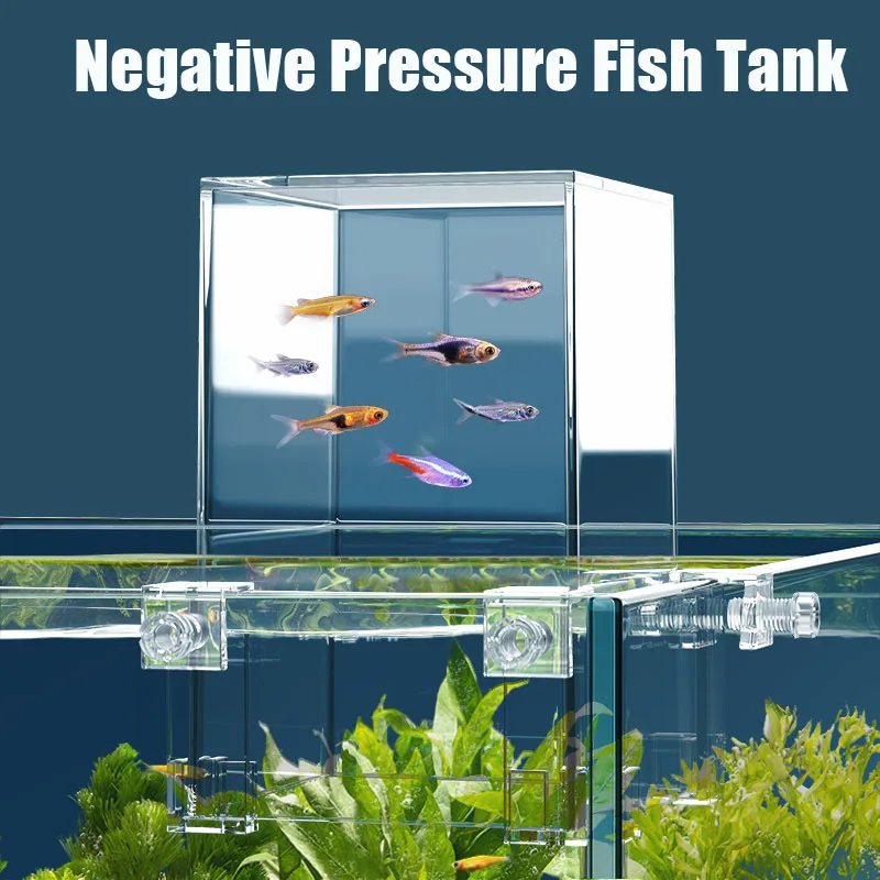Creative Aquarium Tanks Negati - Aquarium Fish Pot ulasan dan harga