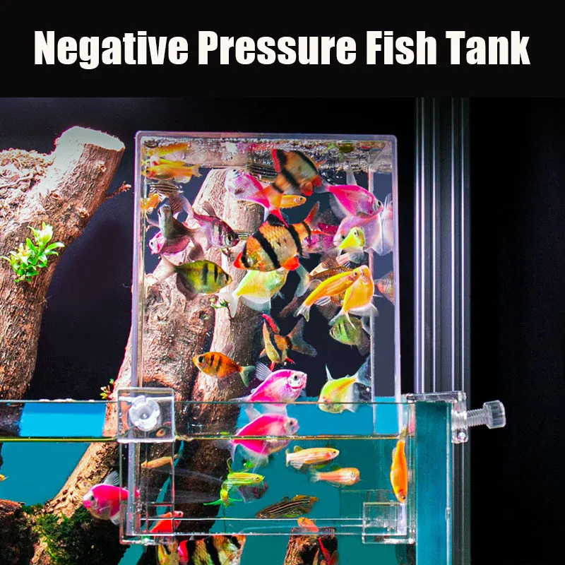 Creative Aquarium Tanks Negati - Aquarium Fish Pot ulasan dan harga