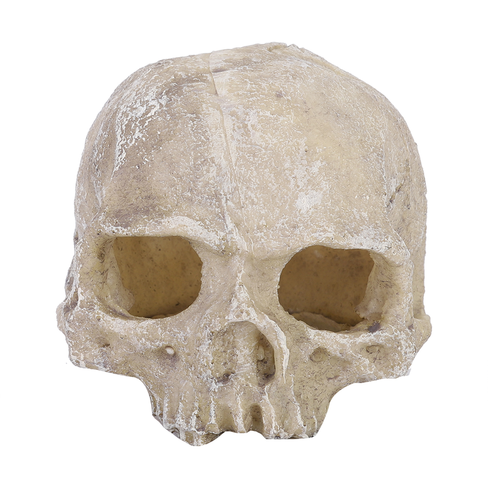 Resin Simulated Head Bone Skul - Aquarium Fish Hide ulasan dan harga