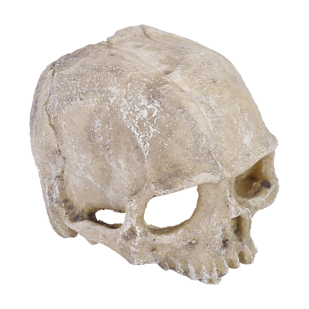 Resin Simulated Head Bone Skul - Aquarium Fish Hide ulasan dan harga