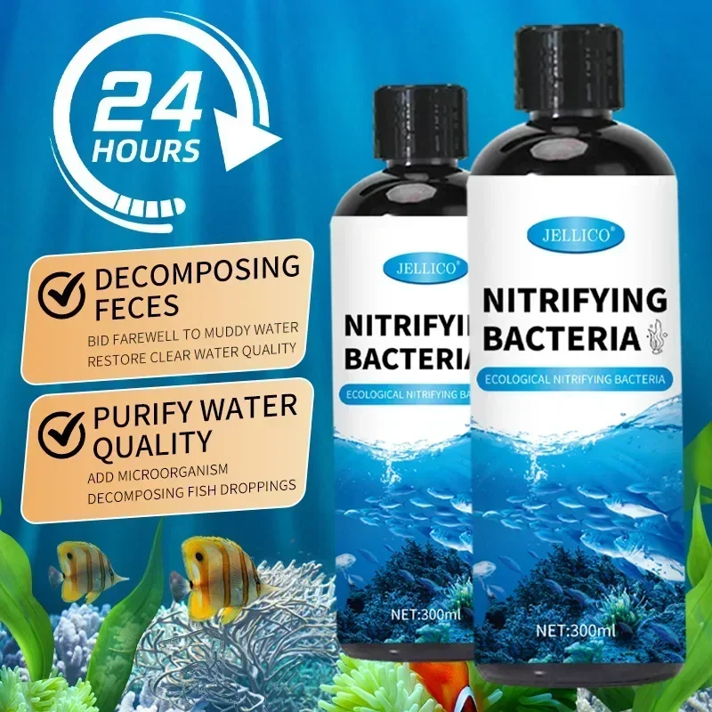 300ml Nitrifying Bacteria Liqu - Aquarium Fish Diseases ulasan dan harga