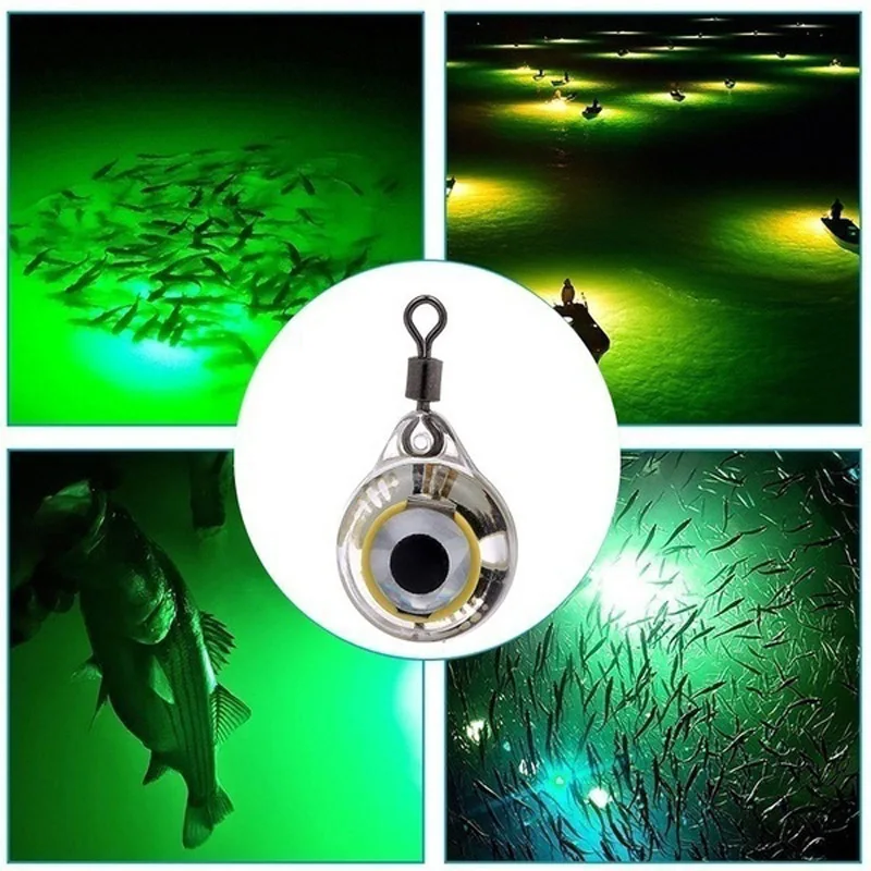 Night Fishing LED Underwater L - Aquarium Fish Diseases ulasan dan harga