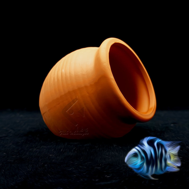 Aquarium Mini Ceramic Tank Fis - Aquarium Fish Hide ulasan dan harga