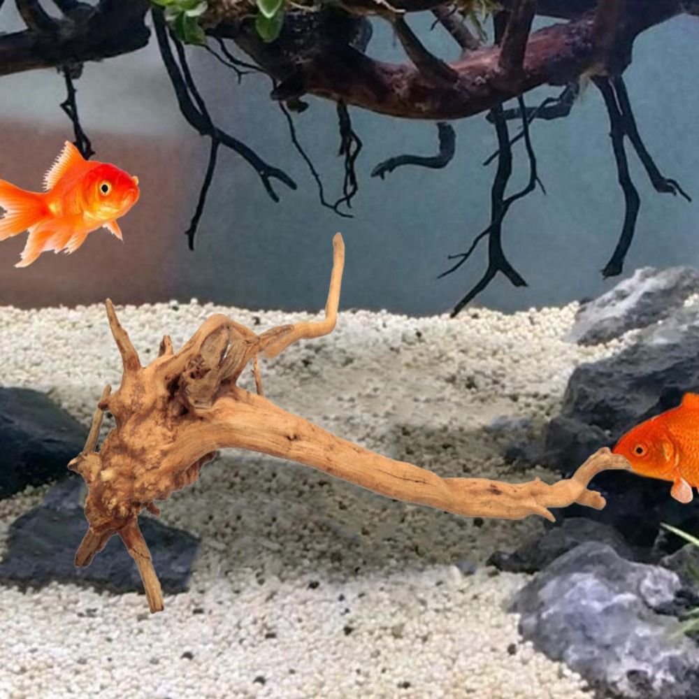 20-25CM Large Aquarium Driftwo - Aquarium Fish Big ulasan dan harga