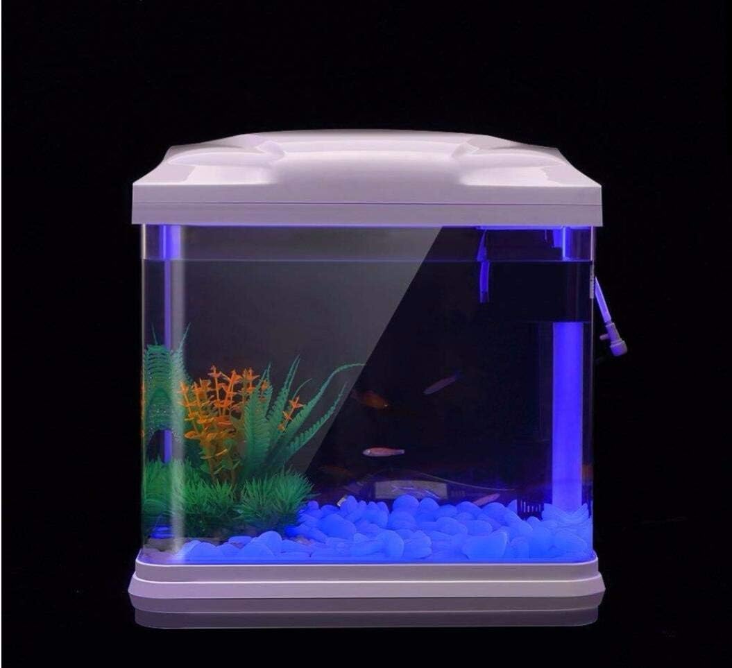 Fish Tank Rocks Glow Blue Pebb - Fish Aquarium Home ulasan dan harga