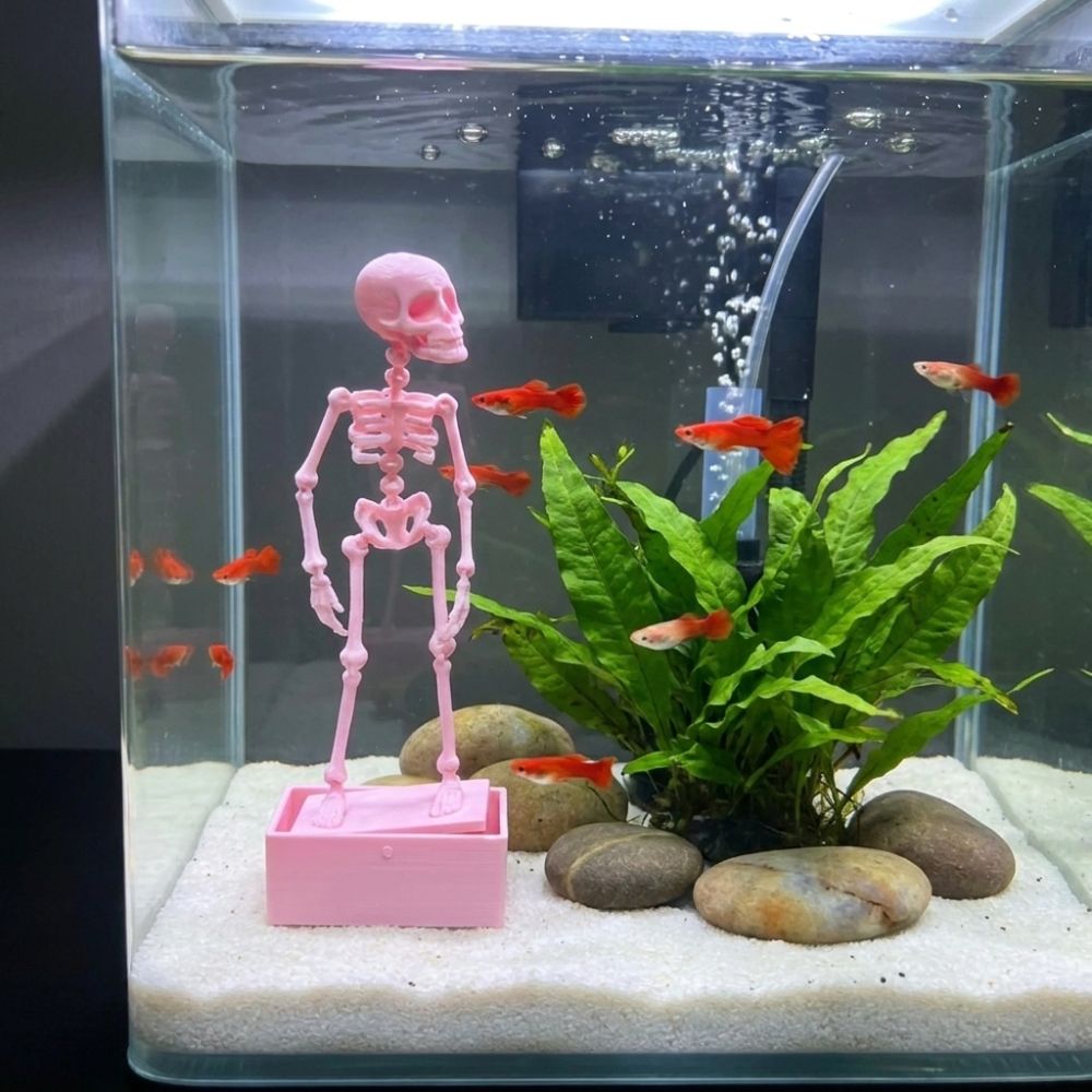 3D Printed Dancing Skeleton Aq - Aquarium Fish Diseases ulasan dan harga