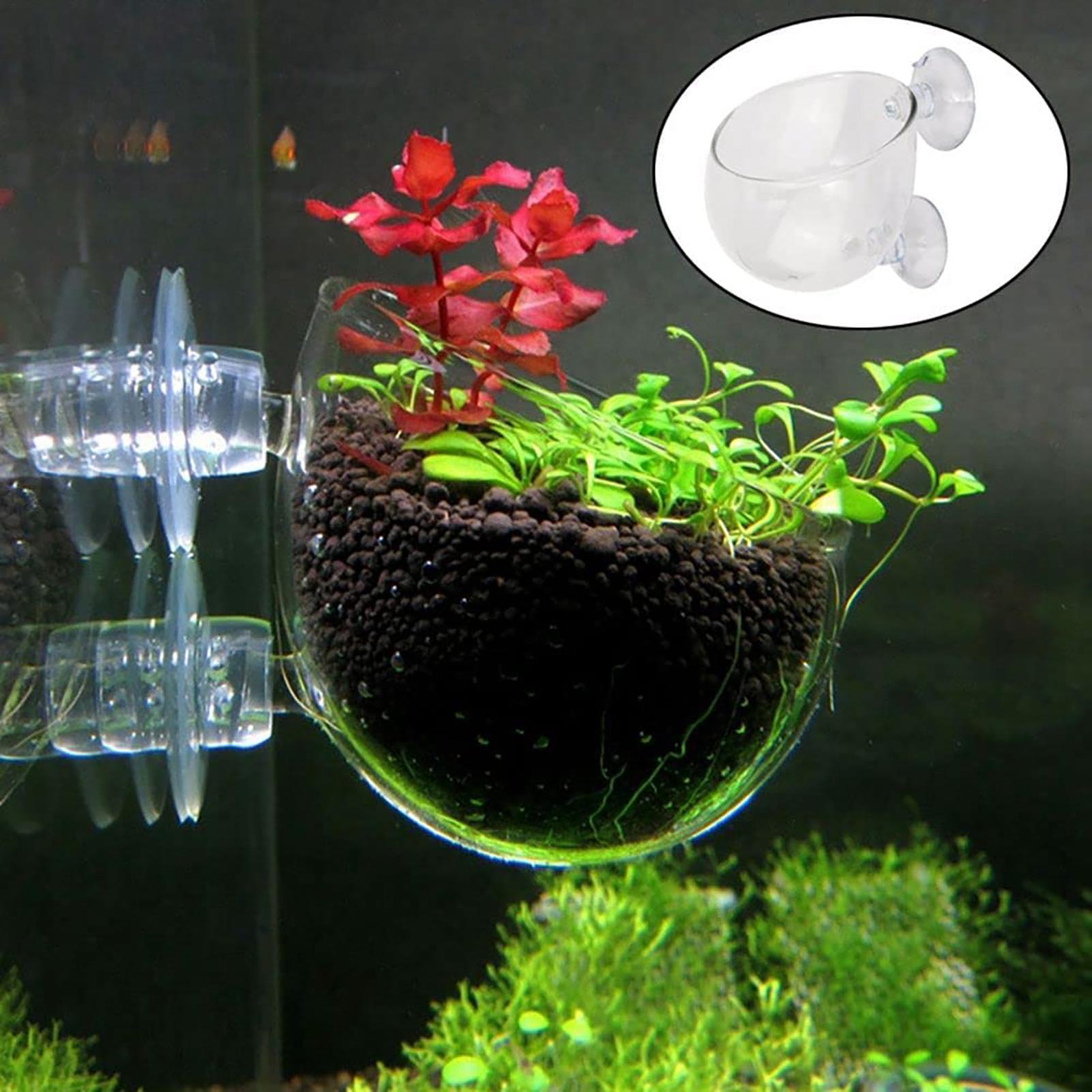 Aquatic Plant Pot Clear Acryli - Aquarium Fish Pot ulasan dan harga