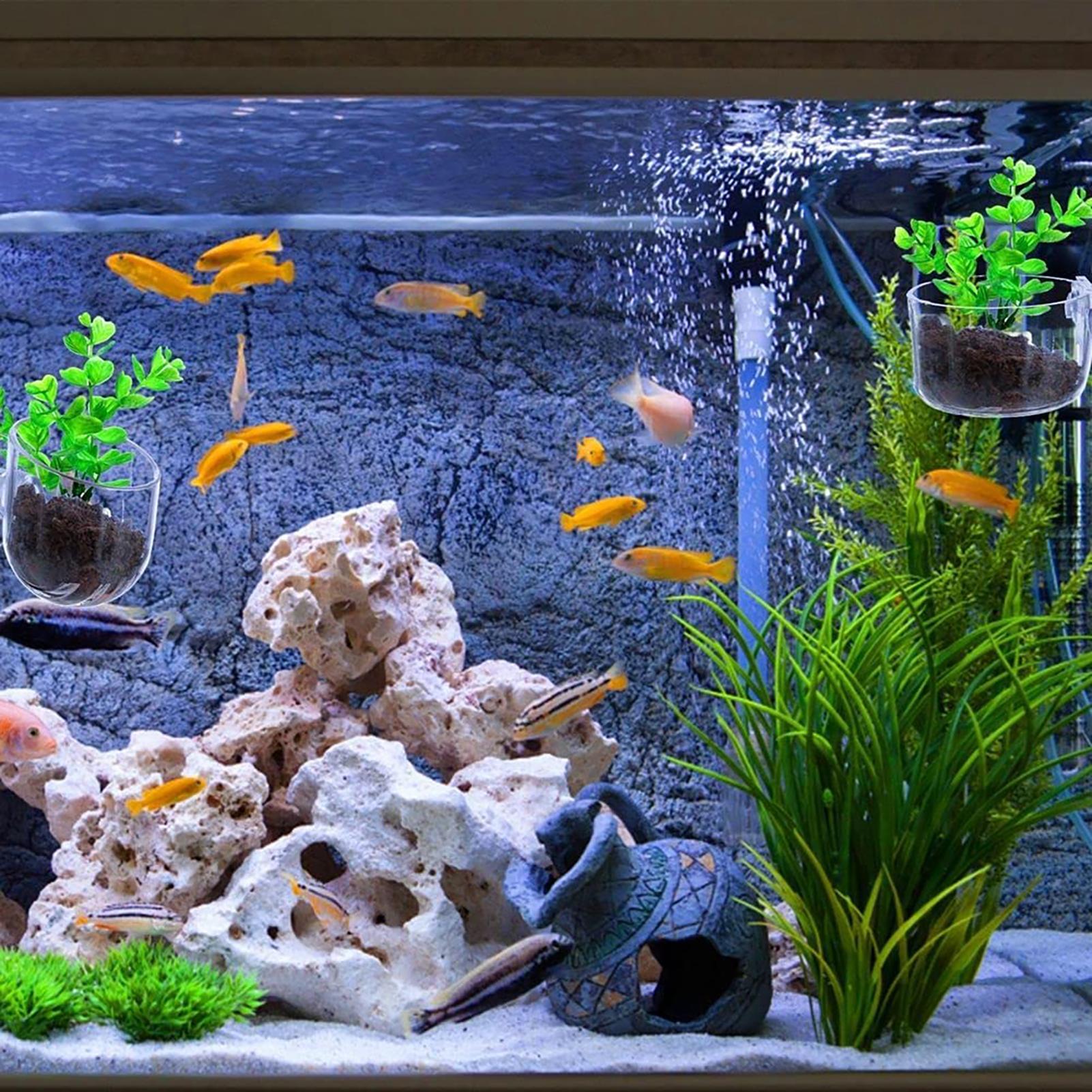 Aquatic Plant Pot Clear Acryli - Aquarium Fish Pot ulasan dan harga