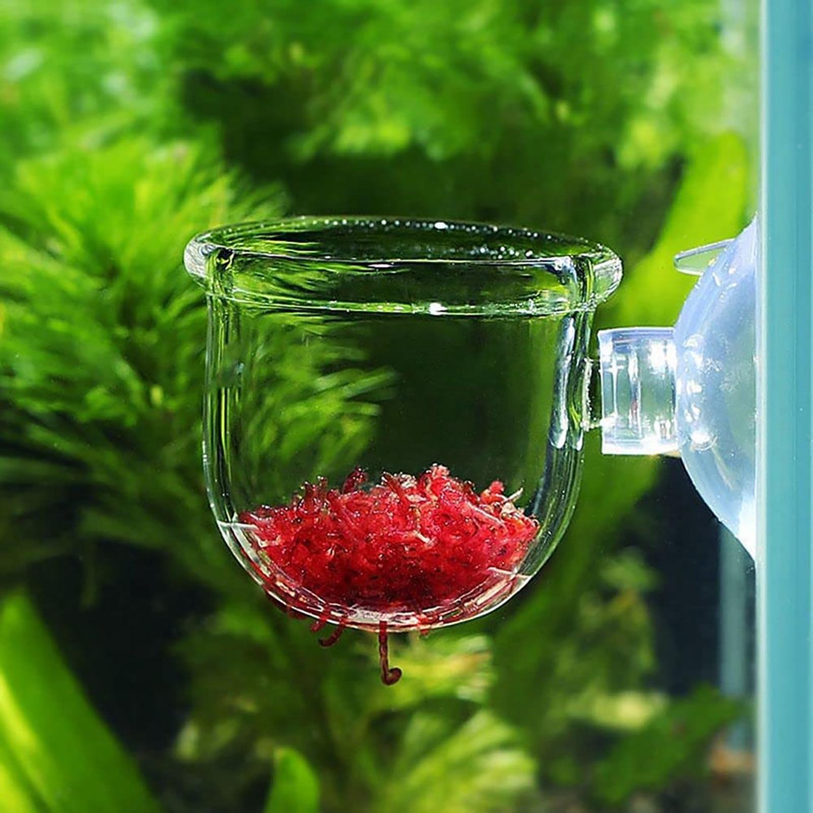 Aquatic Plant Pot Clear Acryli - Aquarium Fish Pot ulasan dan harga