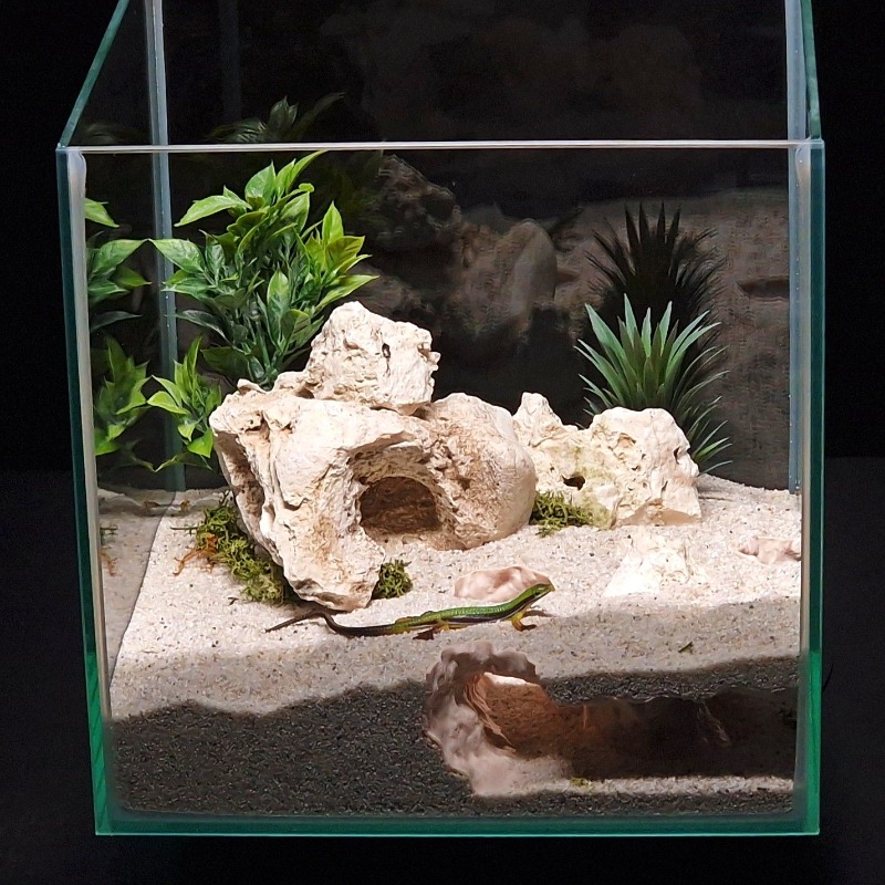 3DPrinted Fish Tank Tunnel She - Aquarium Fish Hide ulasan dan harga