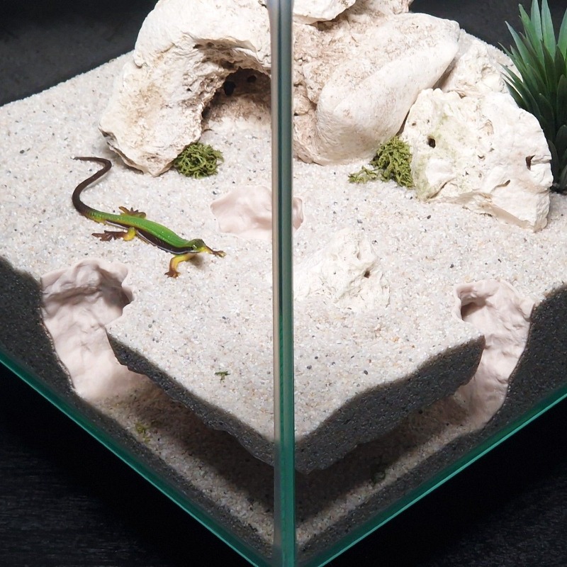 3DPrinted Fish Tank Tunnel She - Aquarium Fish Hide ulasan dan harga