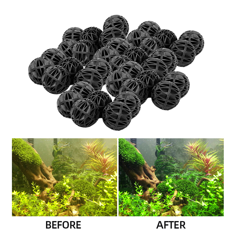 100pcs 18mm Biological Bio Bal - Aquarium Fish Diseases ulasan dan harga