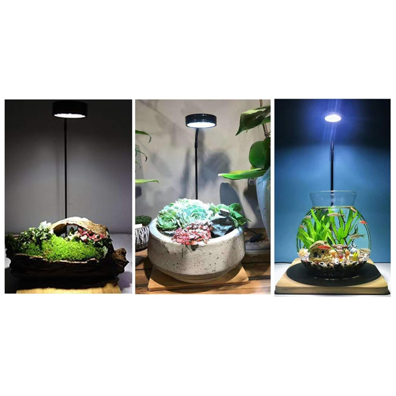 AB45 LED Aquarium Fish Tank Li - Aquarium Fish Pot ulasan dan harga