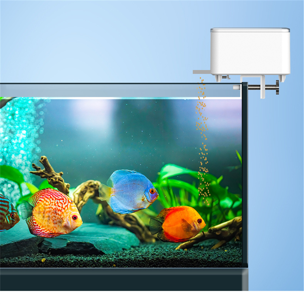 WiFi Smart Automatic Feeder Aq - Aquarium Fish Big ulasan dan harga