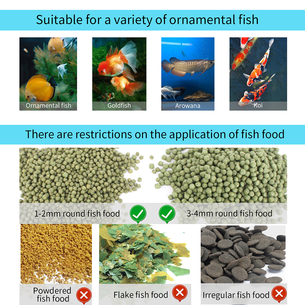 WiFi Smart Automatic Feeder Aq - Aquarium Fish Big ulasan dan harga
