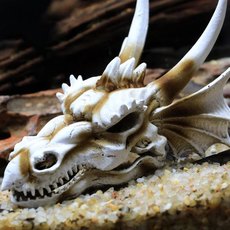Aquarium Fish Tank Dinosaur He - Aquarium Fish Popular ulasan dan harga